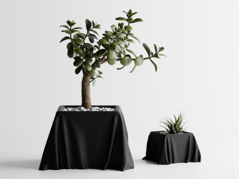 Květináč Silka - Barva: Černá - matná - 001, Vnější rozměry: Š 12,5 x H 12,5 x V 7,5 cm