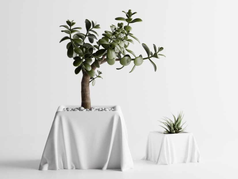 Květináč Silka - Barva: Bílá - matná - 002, Vnější rozměry: Š 16,5 x H 16,5 x V 10 cm