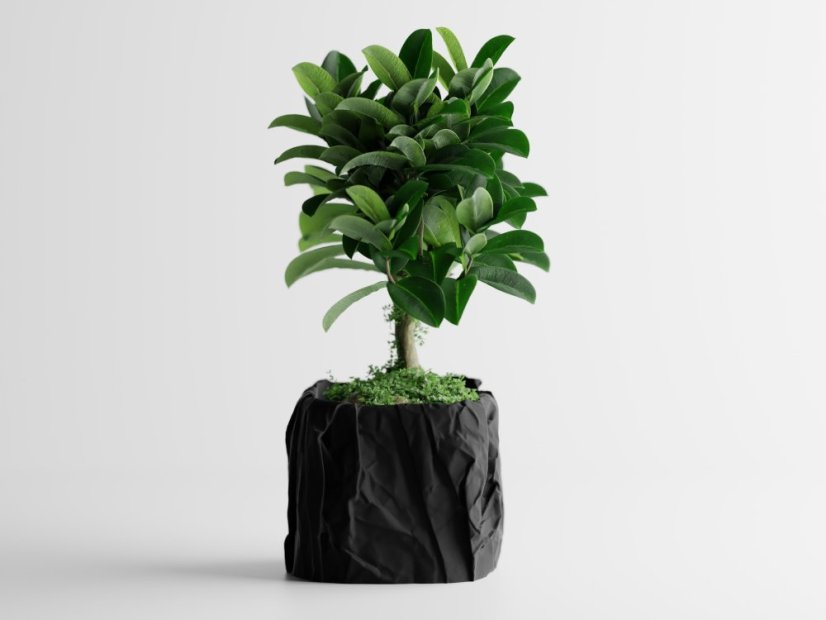 Květináč Crumple Square - Barva: Černá - matná - 001, Vnější rozměry: Š 17 x H 17 x V 14,5 cm